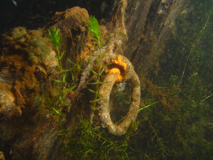 Ring van een roeibootje