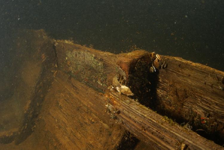 Zijkant van houten wrak op 6m
