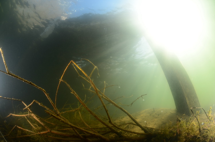 Zonnestralen bij de steiger in de nionplas