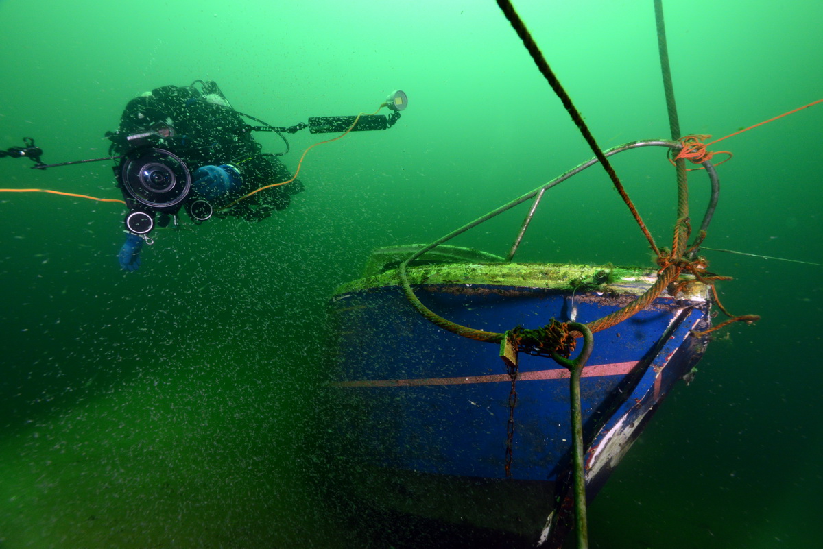 Blauwe wrakje in de groene heuvels