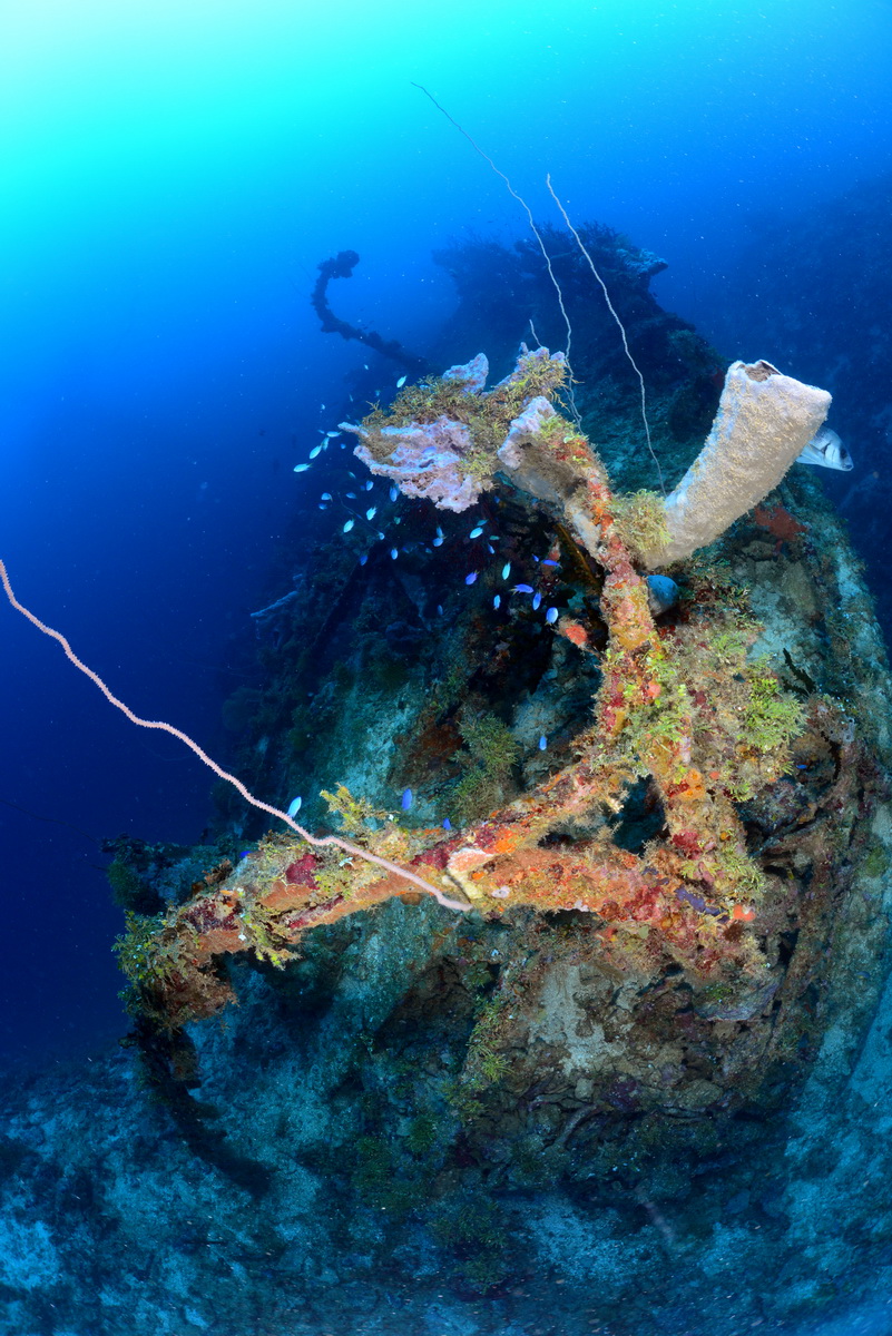 Nippo Maru