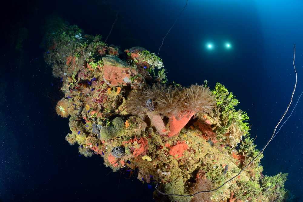 Maarten filmt de Heian Maru