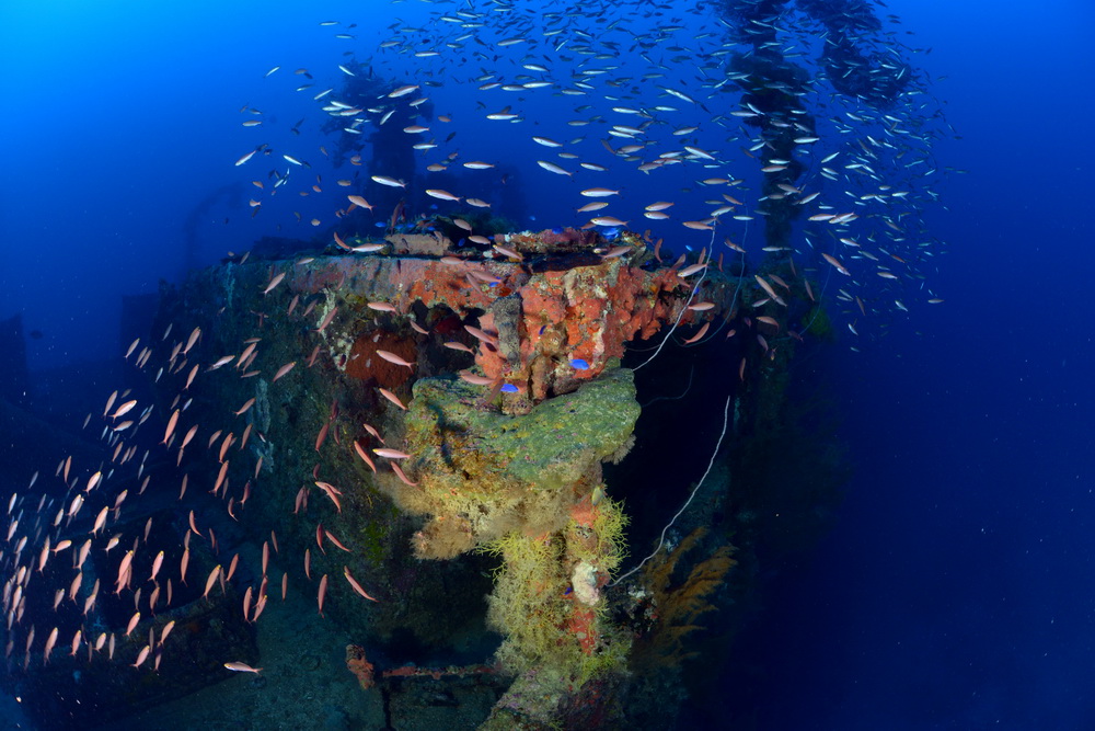 San Francisco Maru