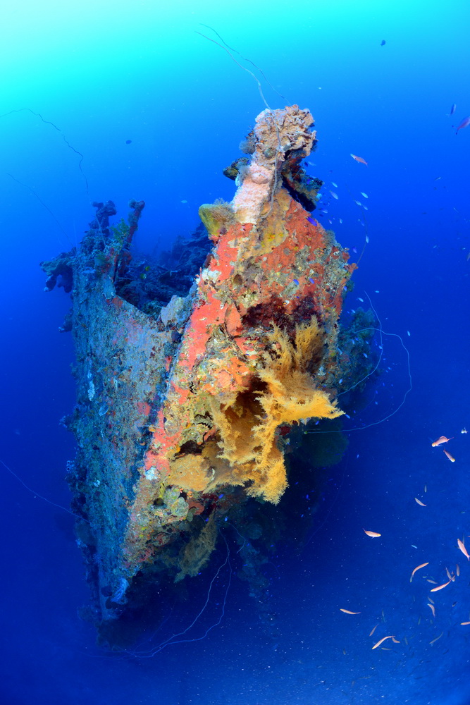 Boeg van de Nagano Maru