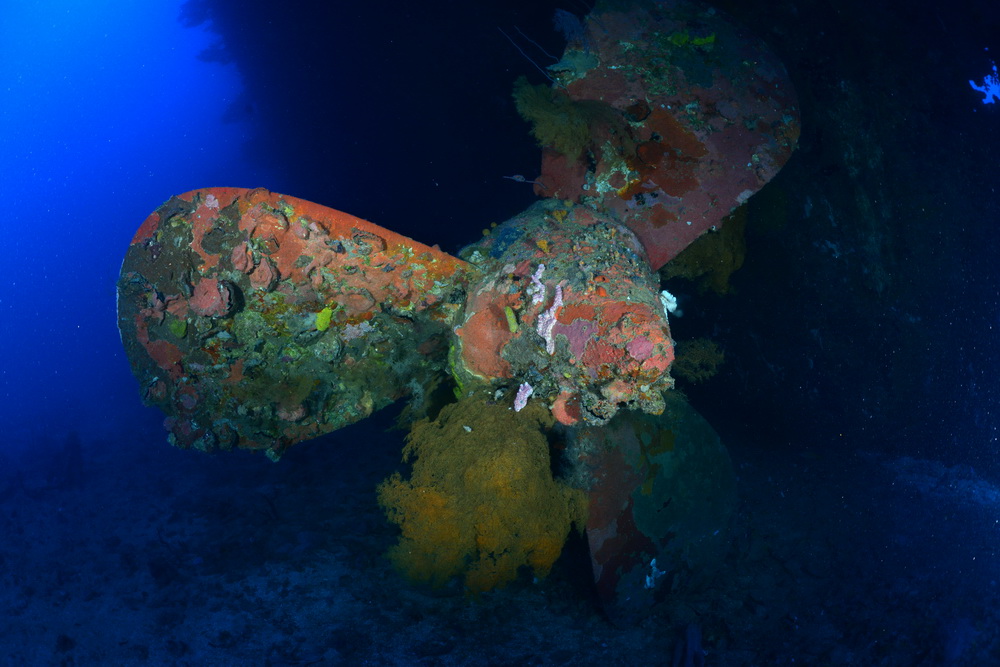 Schroef van de Hoki Maru