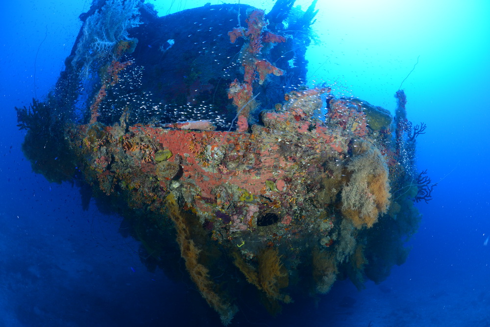 San Francisco Maru