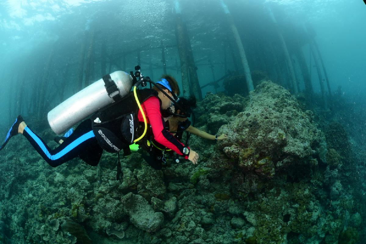 Bas tijdens zijn discover scuba diving duik