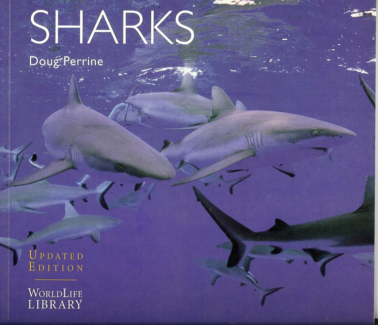 Sharks