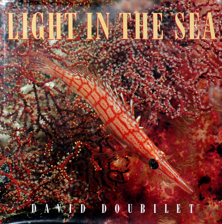 Light in the sea