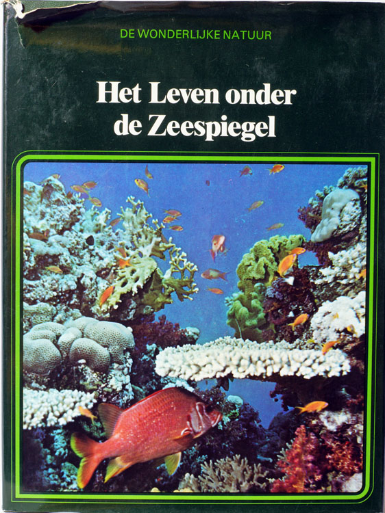 Het leven onder de zeespiegel