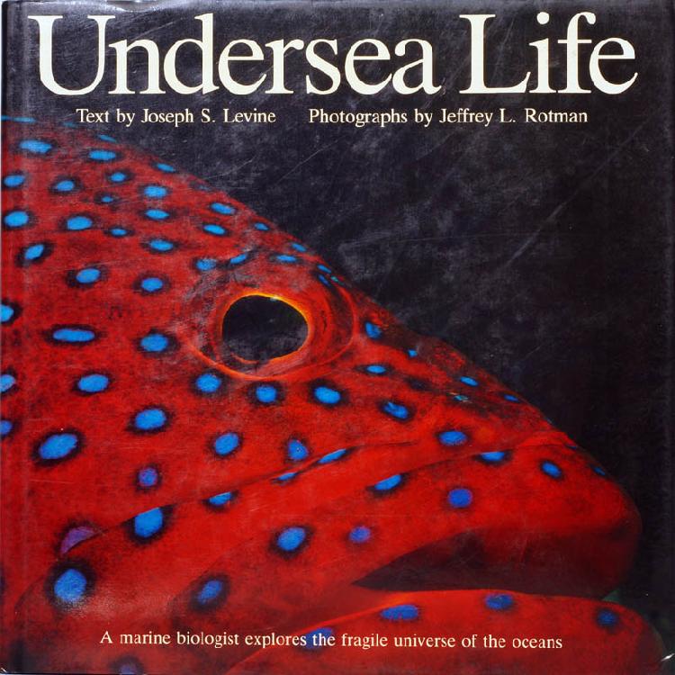 Undersea Life