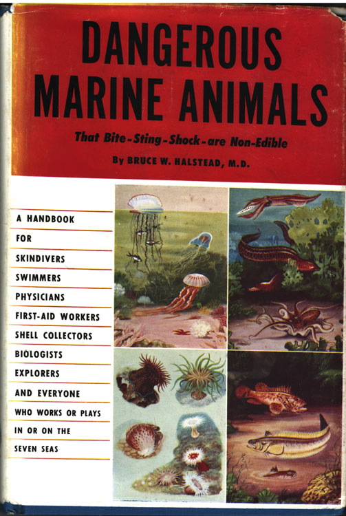 Dangerous Marine Animals