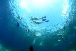 Snorkelaars boven ons
