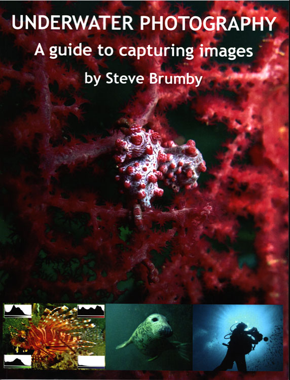 Underwater Photography