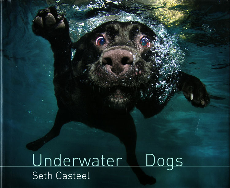 Underwater Dogs