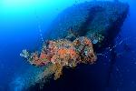 Fujisan maru