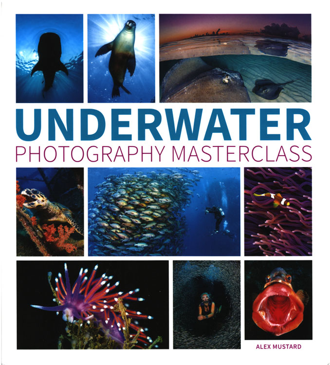 Underwater Photography Masterclass