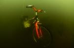 Fiets