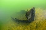 wrakje in de meerse plas