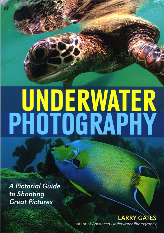 Underwater Photography