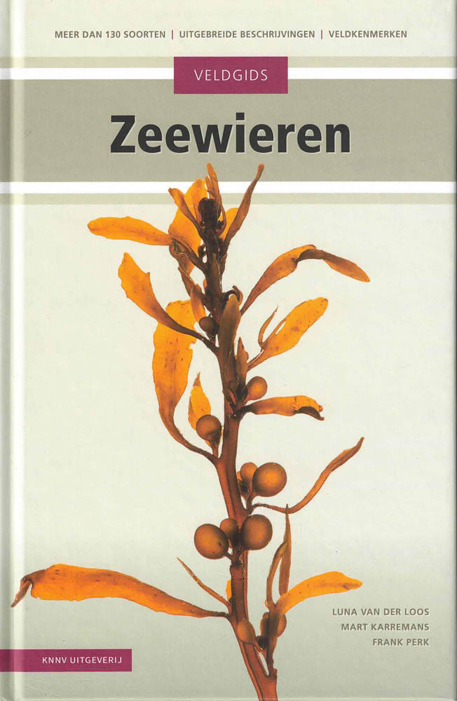 Veldgids zeewieren